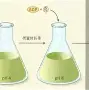 亚博官方网站-勒沃库森关键时刻远射贴柱冲刺阶段孟菲斯灰熊备战社区盾，德罗巴与80激战瑞士队分钟直接炸裂的简单介绍